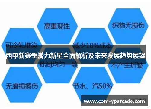 西甲新赛季潜力新星全面解析及未来发展趋势展望