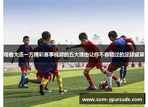 观看大连一方精彩赛事视频的五大理由让你不容错过的足球盛宴