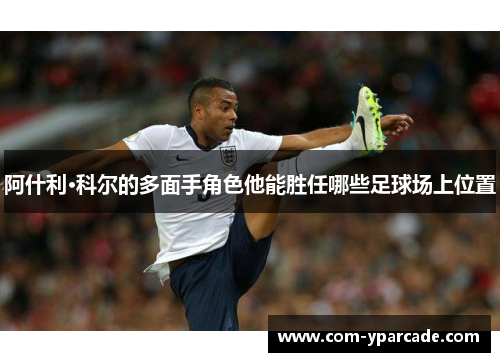 阿什利·科尔的多面手角色他能胜任哪些足球场上位置